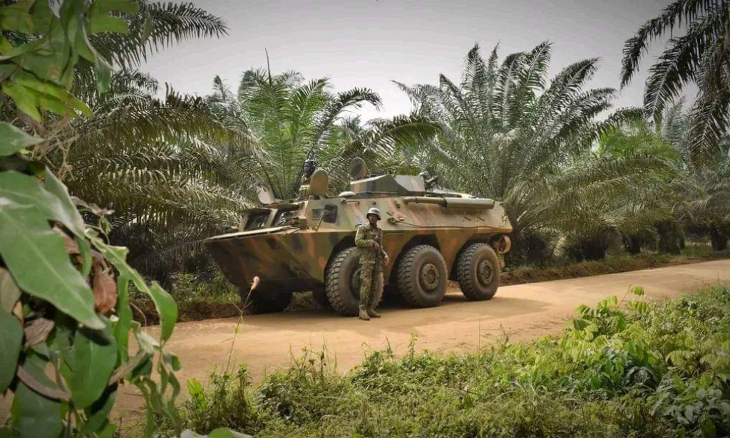 Combat blindé: le 1er Bataillon blindé de l’armée de Côte d’Ivoire entraîne aux côtés du 43e BIMa, des images