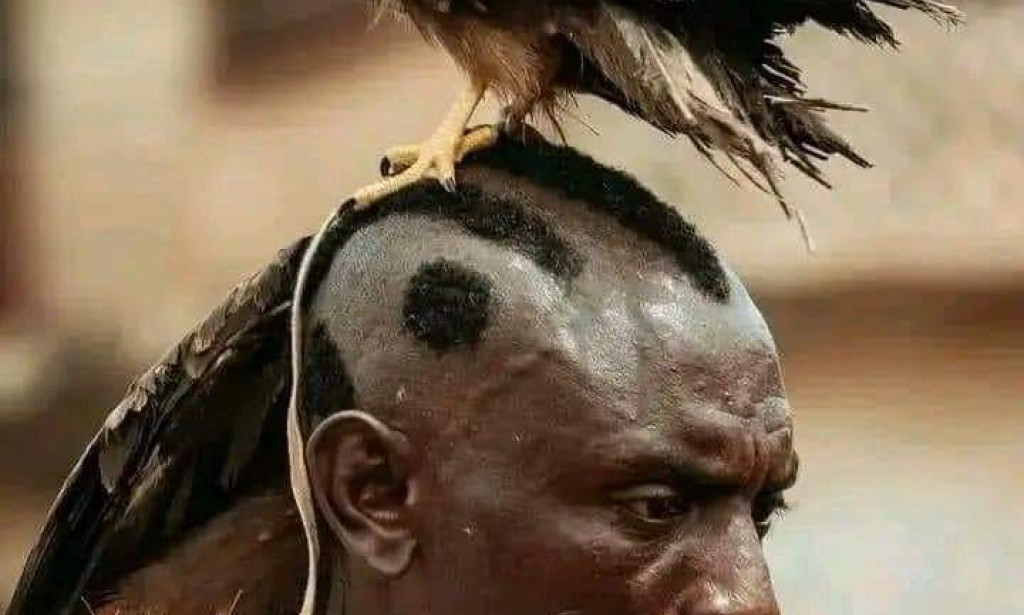 Les cinq plus grands empires de l'histoire africaine selon la masse terrestre