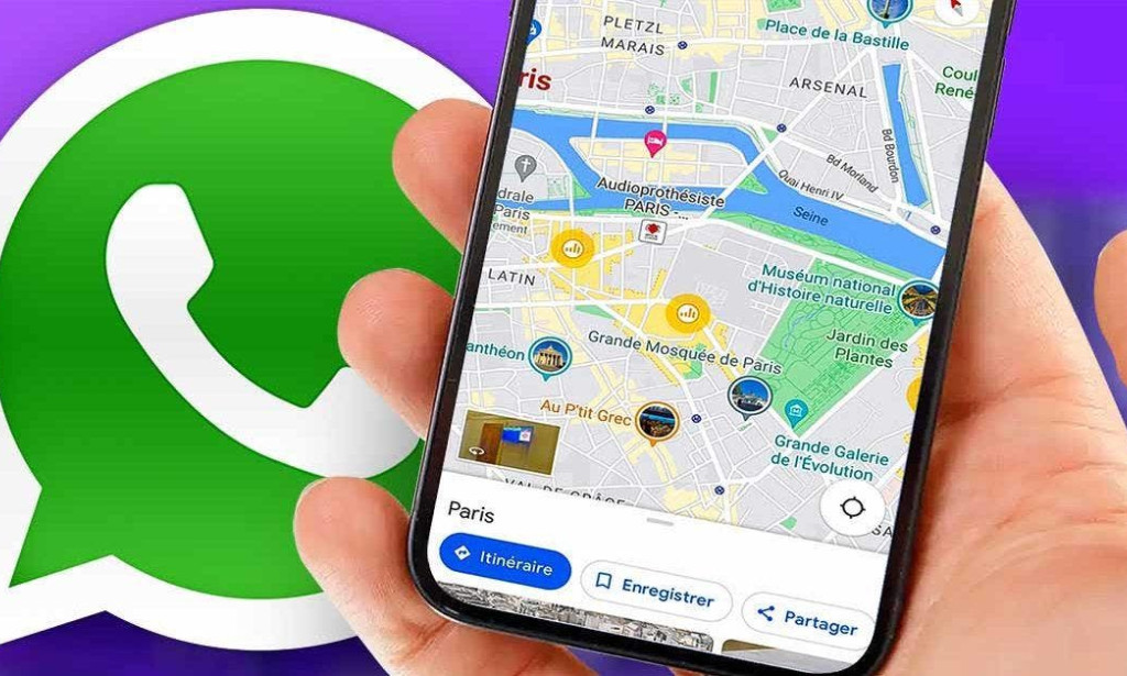 WhatsApp, l'application de messagerie la plus populaire, offre une fonctionnalité permettant de connaître la position géographique des autres utilisateurs