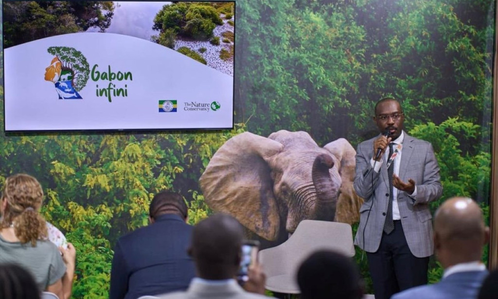 Le Gabon lance « Gabon Infini » : un mégaprojet de 113,9 milliards FCFA pour protéger ses forêts